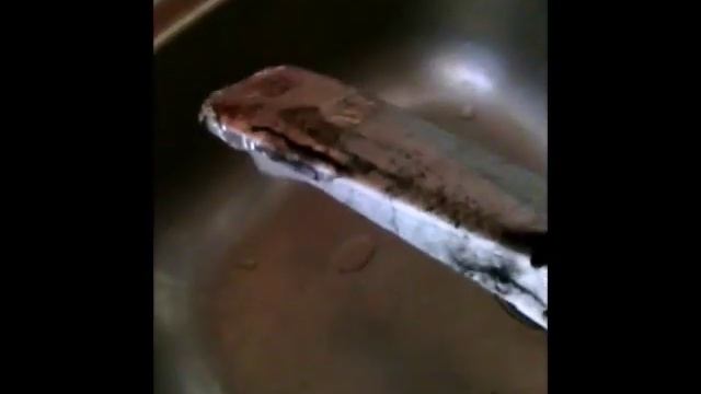 Samsung RL33 No Frost замерзает сливное отверстие