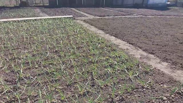 Дача Рейд N 4-6 результат трёхдневной работы 6-9 апреля 2020 г. смотреть онлайн