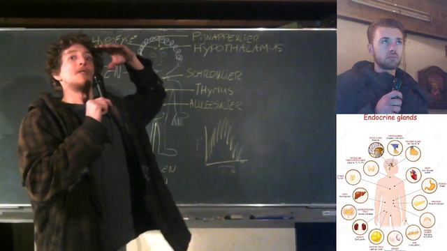 022 | Een fractaal van het totaal смотреть онлайн