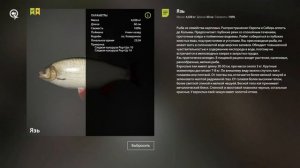 Russian Fishing 4 Клёвые Места. Трофейный Язь. Комариное озера.