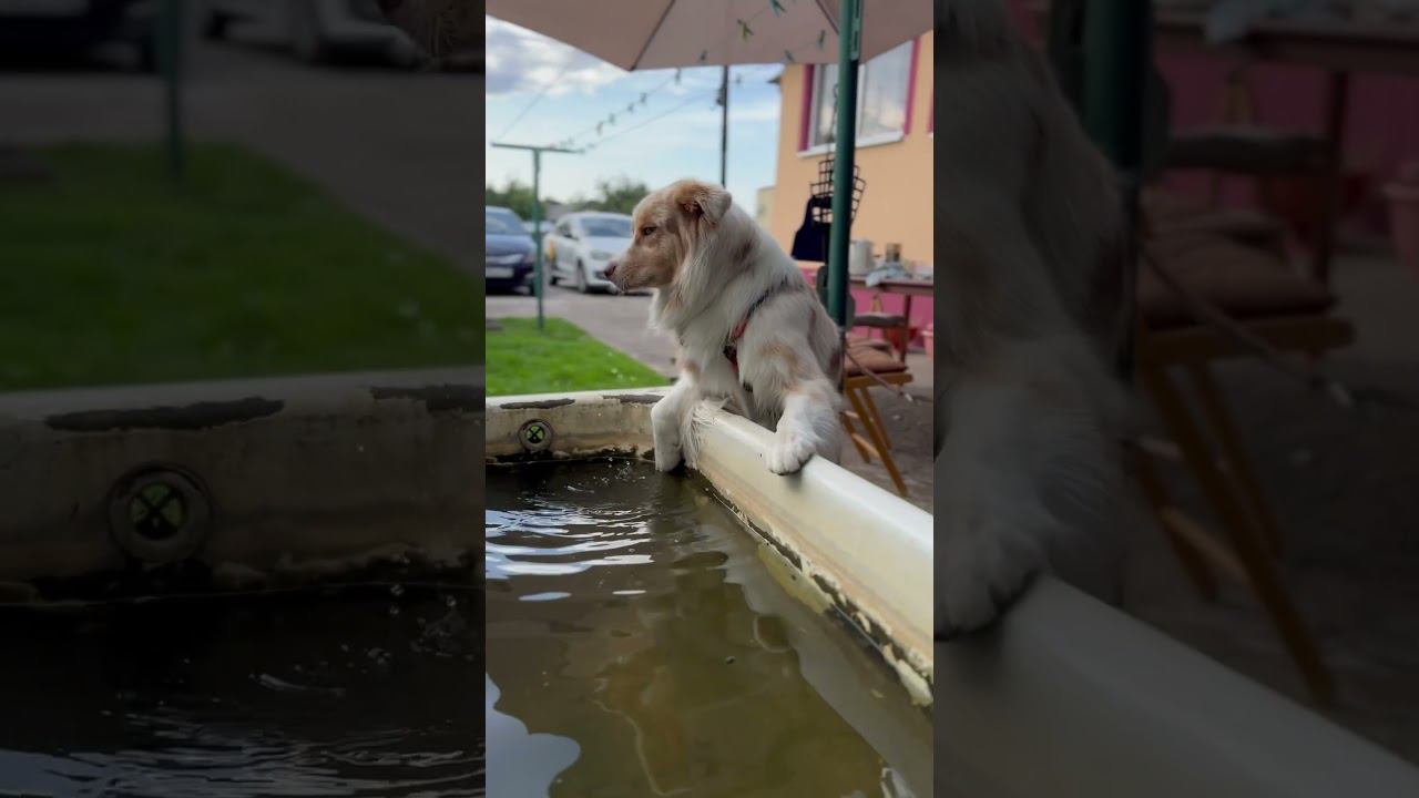 22 августа 2024 г. смотреть онлайн