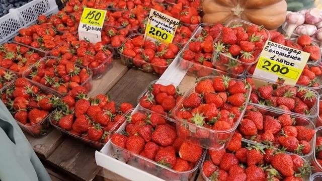 Развлекаемся на Даче смотреть онлайн