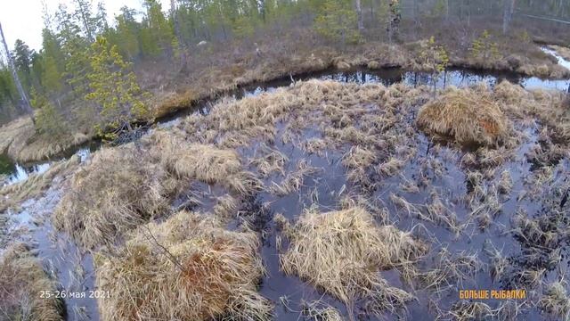 ПОХОД БЛОГЕРОВ ПО ОЗЕРАМ ФИНКИ | Рыбалка с ночёвкой в лесу смотреть онлайн