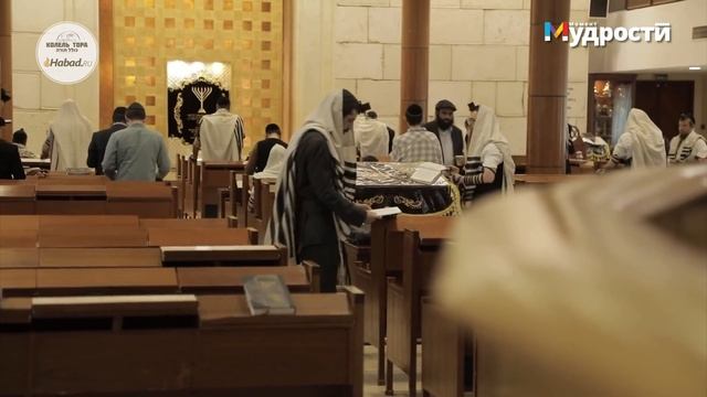 Анекдот с бородой, выпуск 48. Отпусти бороду! смотреть онлайн