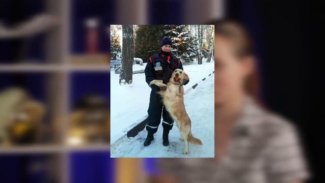 ДЕВУШКИ В МЧС / КИНОЛОГ И КУРСАНТКА / КАК ПОСТУПИТЬ В АКАДЕМИЮ МЧС / КАК СТАТЬ КИНОЛОГОМ смотреть онлайн