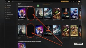 Что делать если в Plex не отображаются постеры