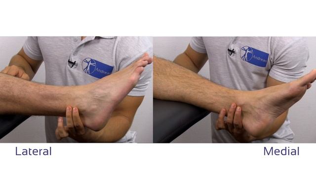 The Ottawa Ankle Rules | Ankle Fracture Clinical Prediction Rule смотреть онлайн