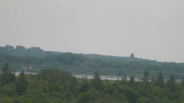 куда летают пчёлы? смотреть онлайн