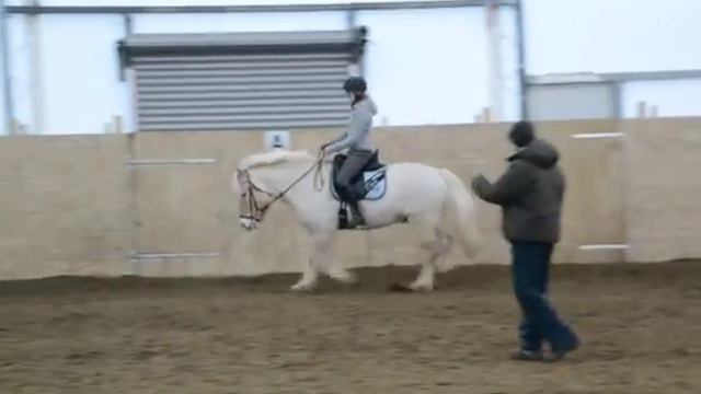 Meg og balder på trening2 смотреть онлайн