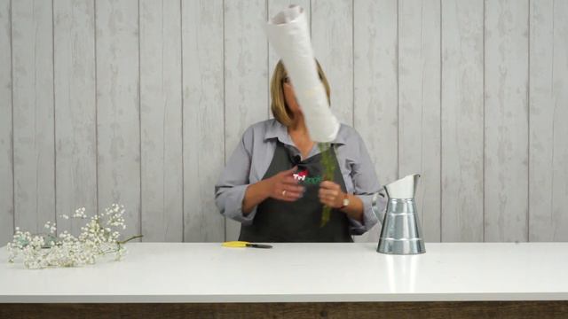 How to Care for Gypsophila - Wholesale Flowers and Academy ( Triangle Nursery) смотреть онлайн