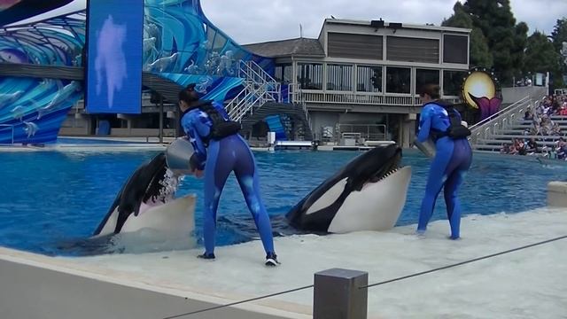 One Ocean (Full Show/Full HD) April 21, 2015 - SeaWorld San Diego смотреть онлайн