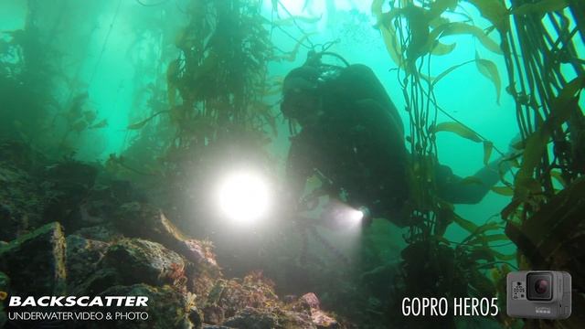 Underwater Test Footage - GoPro Hero 5 смотреть онлайн