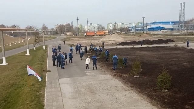 Посмотрите, сколько в Пинских ТС елочек! смотреть онлайн