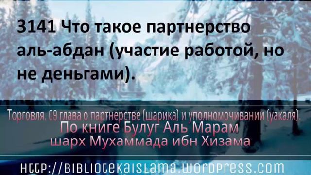 3141 Что такое партнерство аль абдан участие работой, но не деньгами смотреть онлайн