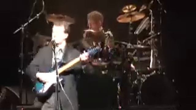 In the Flesh? All in All a Tribute to Pink Floyd смотреть онлайн