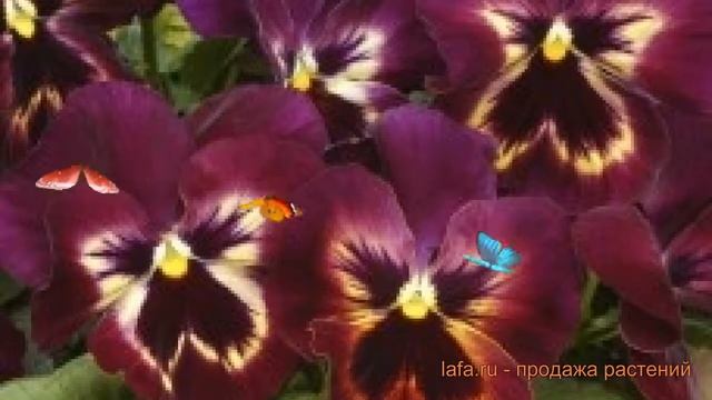 СтройНастольгия