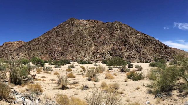 Mojave Desert смотреть онлайн