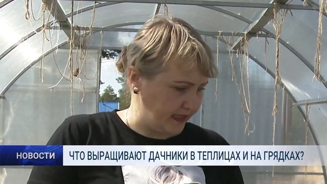 ЧТО ВЫРАЩИВАЮТ ДАЧНИКИ В ТЕПЛИЦАХ И НА ГРЯДКАХ смотреть онлайн