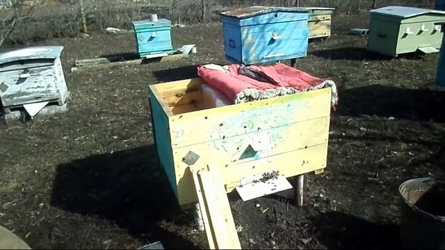 ВЕСЕННЯЯ РЕВИЗИЯ НА ПАСЕКЕ 1 марта 2017г. смотреть онлайн