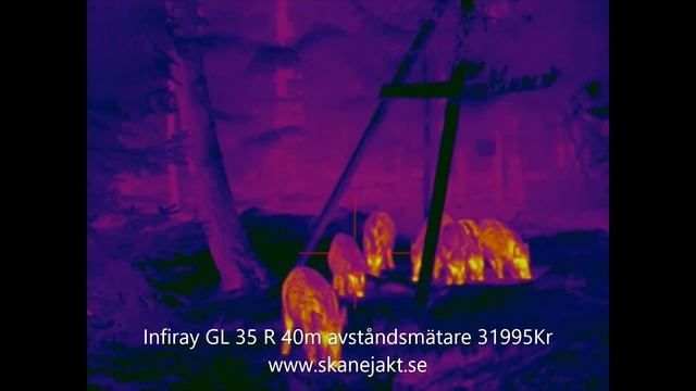 Infiray Geni GL35R LRF смотреть онлайн