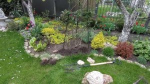 ОВСЯННИЦА СИЗАЯ в дизайне сада. Неожиданное решение.