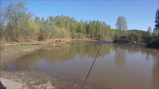 ЛОВИТ ЛИ МОРСКОЙ СИЛИКОН В ПРЕСНОЙ ВОДЕ? РАЗЛОВИЛ КУЧУ НОВЫХ ПРИМАНОК ОТ Ecogear, Berkley И Marukyu смотреть онлайн