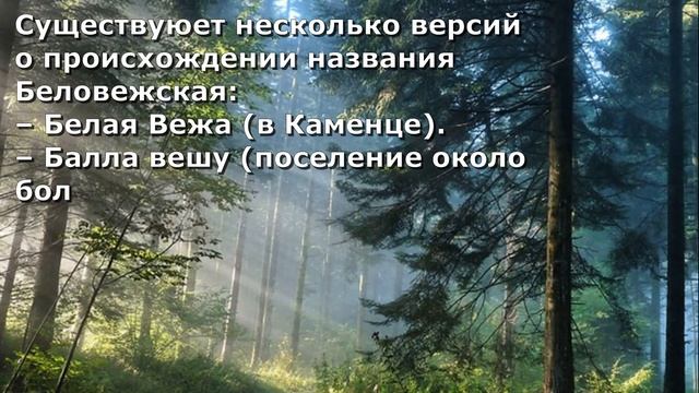 Познавариум. Национальный парк Беловежская пуща смотреть онлайн