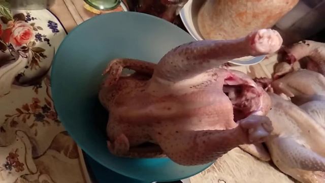Мясо-яичные куры " Ленинградская ситцевая" смотреть онлайн