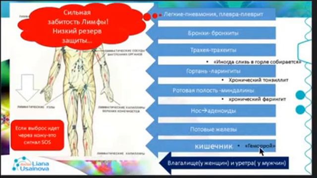 про еду №3 Кислотно-щелочной баланс смотреть онлайн
