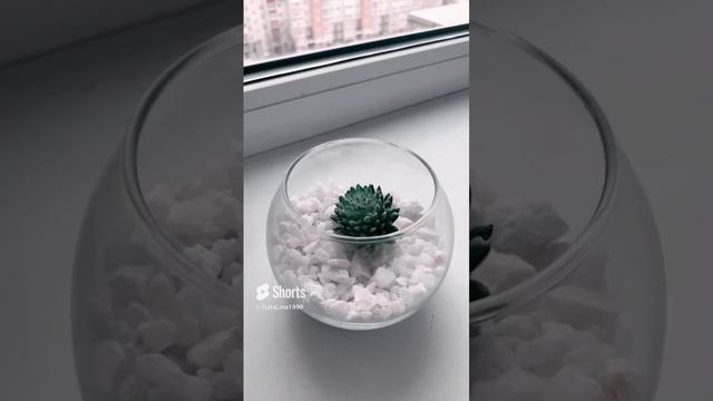 Украшение для дома!