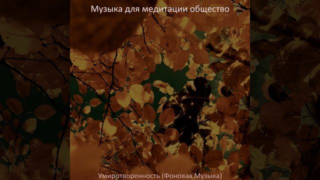 Музыка (Расслабление) смотреть онлайн