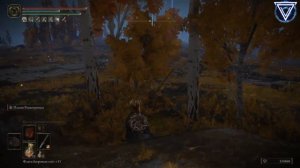 ВСЕ НОЧНЫЕ БОСсЫ В Elden Ring