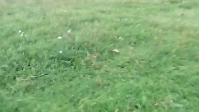 Снегокат привязали к Кроссу !!!!