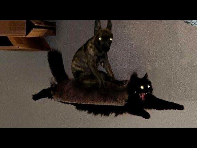 Лютые приколы. КОТЭ летит спасать МИР !!! смотреть онлайн