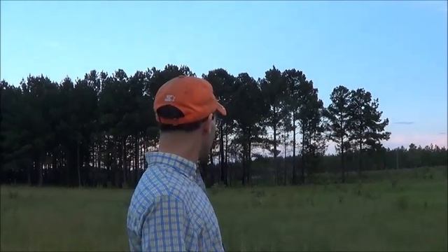 Protege 2018/2019 Elastic Launched Glider/CLG demo смотреть онлайн