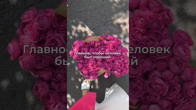 #пионы #подарок #101роза #51роза #букет #доставкацветов #идеальныйподарок #пион #пионовидныерозы смотреть онлайн