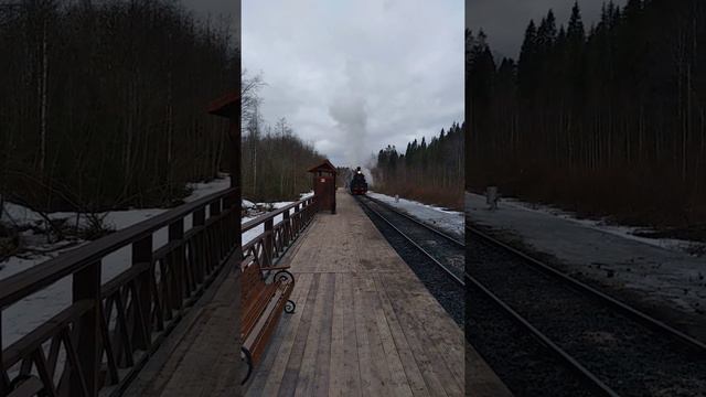 Прибытие Рускеальскоро экспресса смотреть онлайн