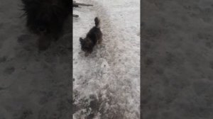 Кто помнит Ёршика ?❓❔