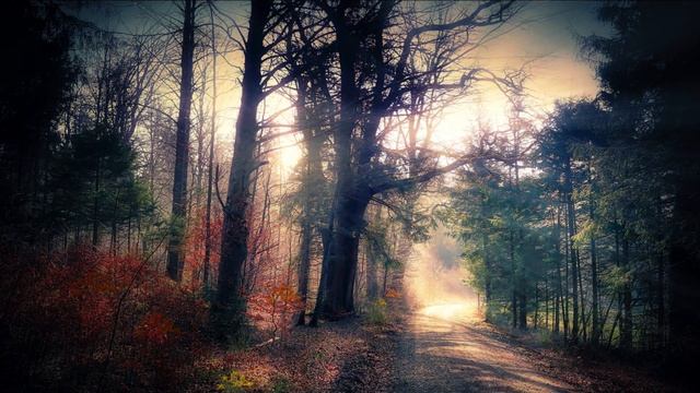 Потрясающее чтение Суры Аль -Анам |Слушайте КАЖДЫЙ день перед сном |Прекрасный голос Рашид аль-Афас смотреть онлайн