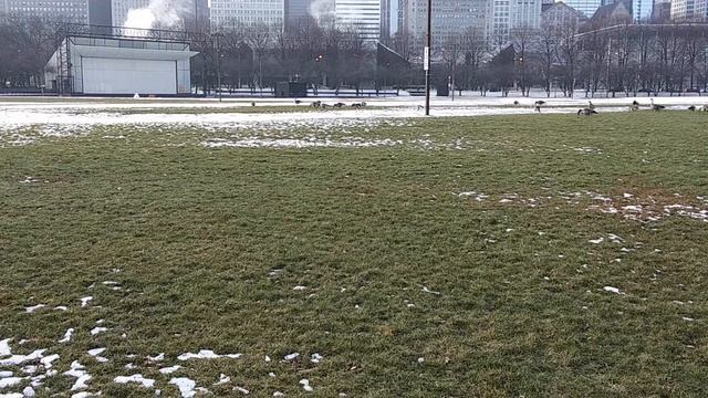 Willis Tower Chicago views (formerly Sears Tower) смотреть онлайн