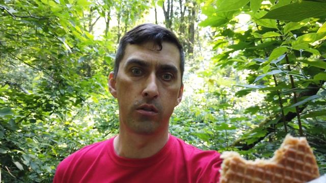 EDC \ жор - обжорыч \ Stroopwafels #EDC #Stroopwafels #top