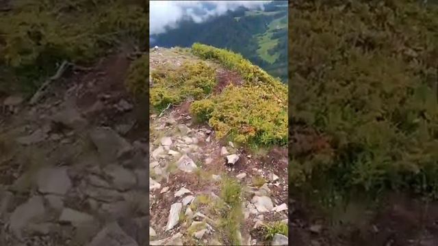 Отдых Роза хутор. Горы смотреть онлайн