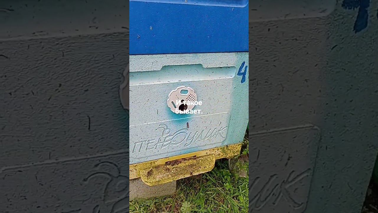 9 мая 2023 г. смотреть онлайн