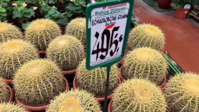 Цветочный Магазин в Турции, что Можно Купить в Подарок смотреть онлайн