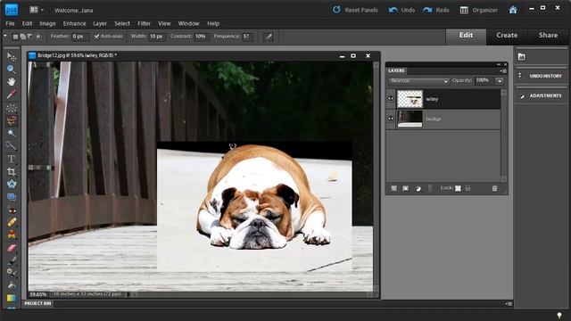 How To Combine Photos Using Photoshop Elements 10
