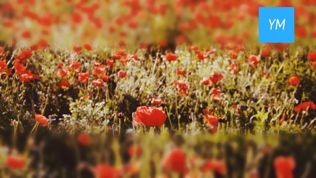 #мысли #законпритяжения #источник АБРАХАМ - Эстер и Джерри Хикс. Отношения и Закон Притяжения. смотреть онлайн