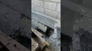 Штукатурка с применением пенопластовой крошки