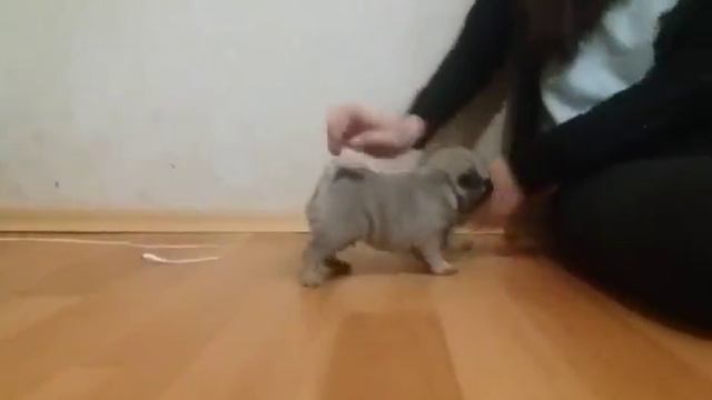 Черная девочка и бежевый мальчик! смотреть онлайн