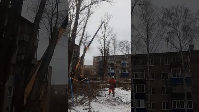 спил дерева краном смотреть онлайн