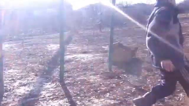 Малой упал ))))) смотреть всем !!!!! смотреть онлайн
